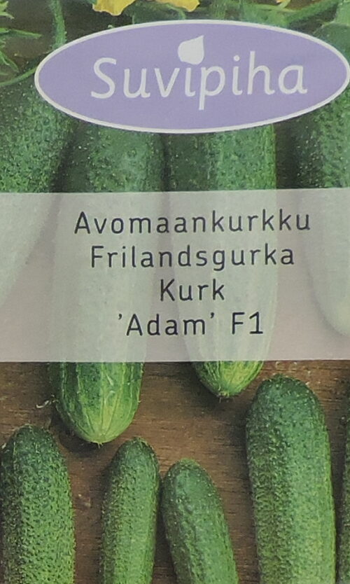 Kurk Adam F1   10 s.