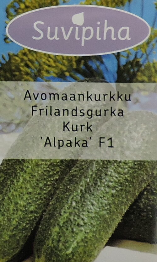 Kurk Alpaka F1   10 s.