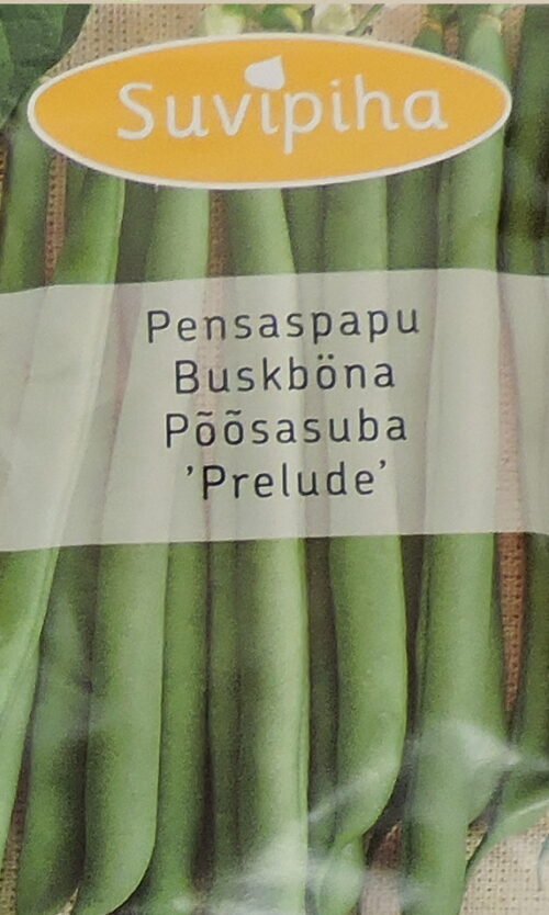 Aeduba Prelude 21 s.