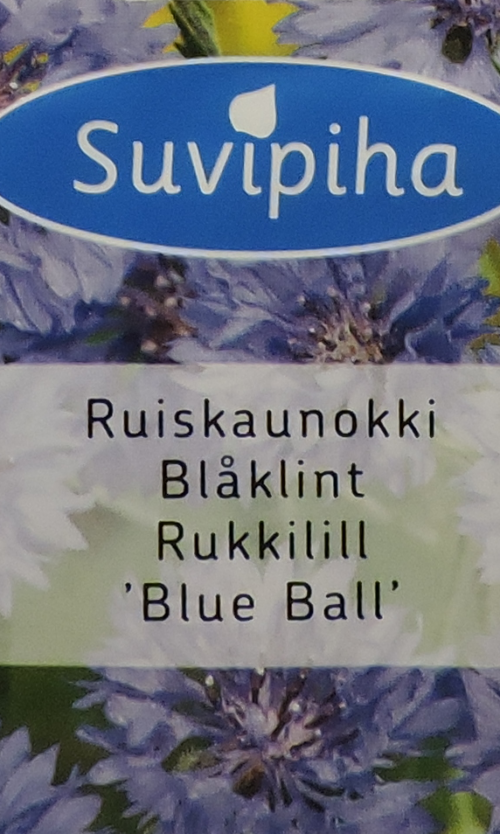 Rukkilill Blue Ball 95 s.