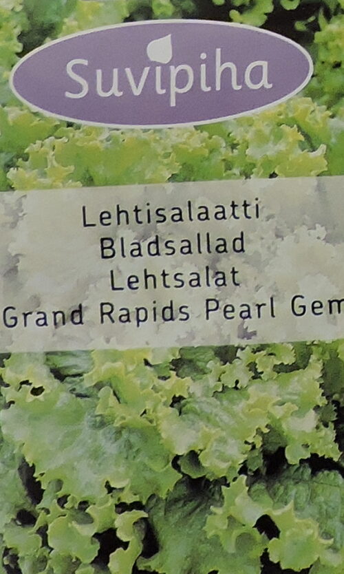 Salat Grand Rapids Pearl Gem 500 s.