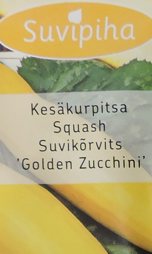 Suvikõrvits Golden Zucchini  9 s.