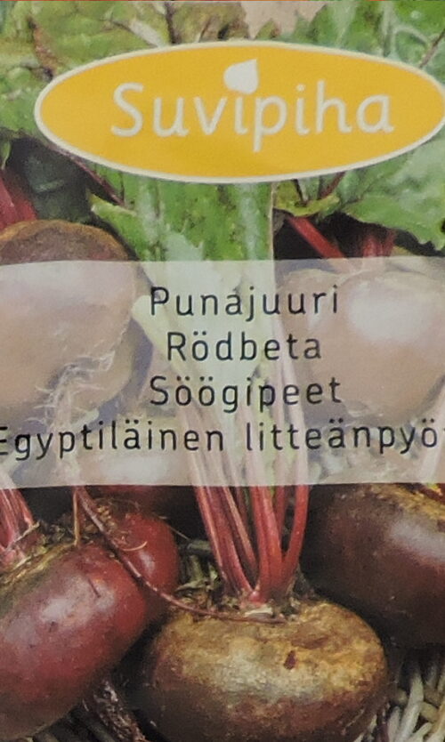 Söögipeet Egiptus 100 s.