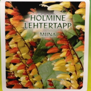 Hõlmine lehtertapp (miina)