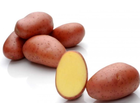 Seemnekartul Red Lady 10 kg