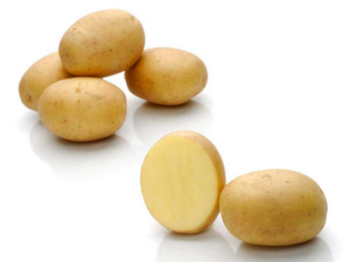 Seemnekartul Lea 2,5 kg