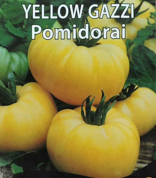 Tomat Yellow Gazzi 10 s.