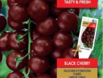 Tomat Black Cherry 0,2 g